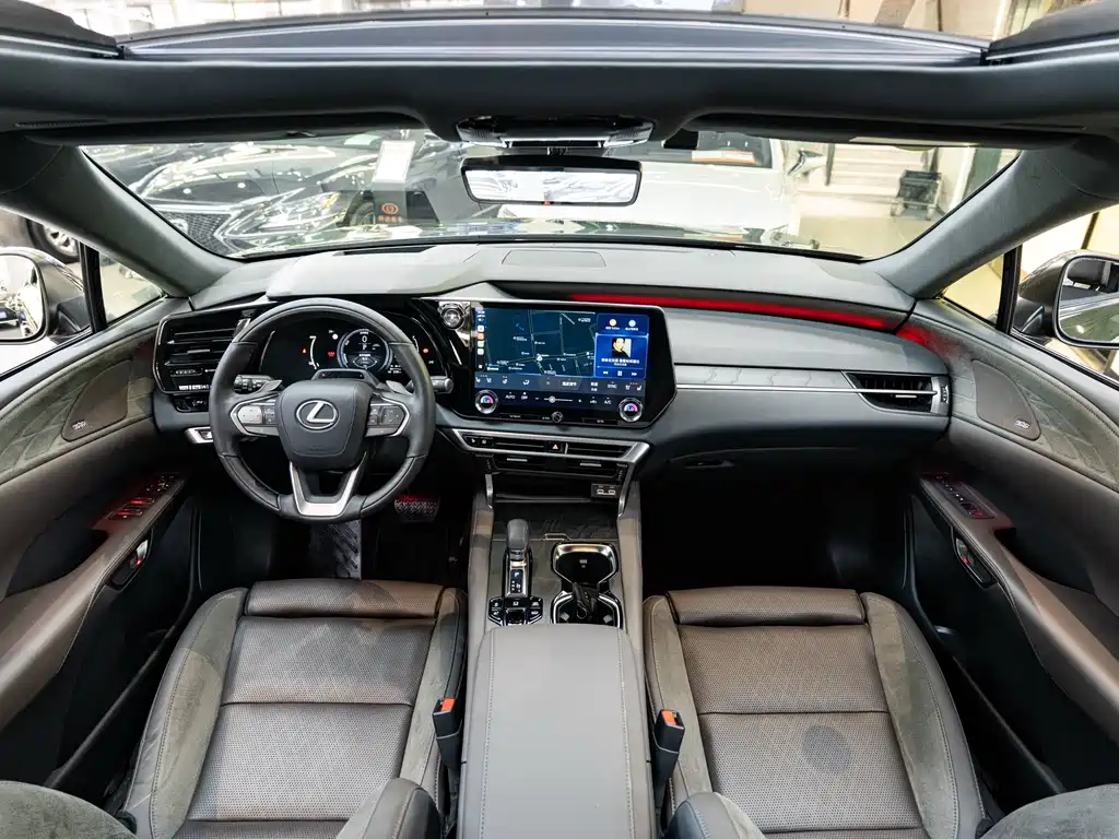 Lexus RX New Energy 2023 — фото 13