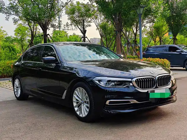 BMW 5 Series New Energy 2020