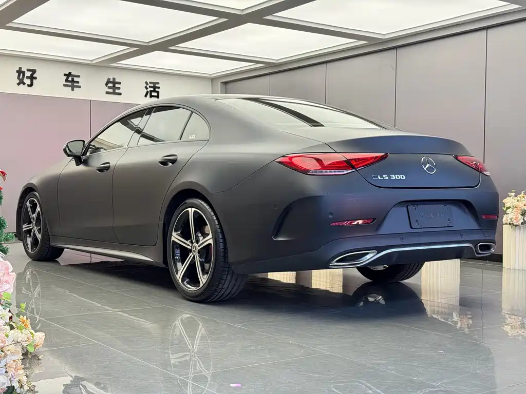 Mercedes-Benz CLS 2019 — фото 13