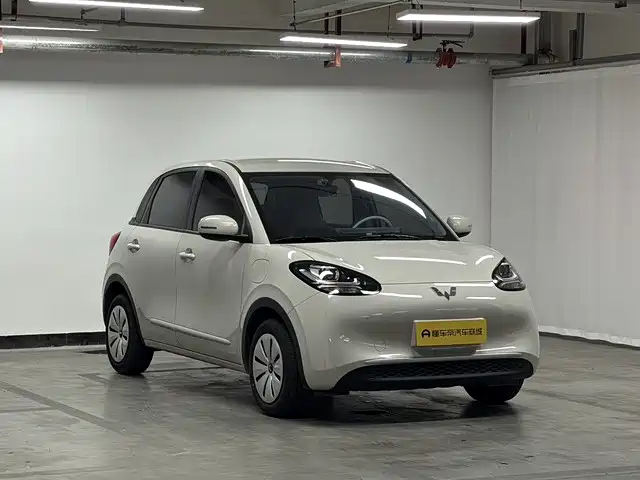 Wuling Bingo 2024