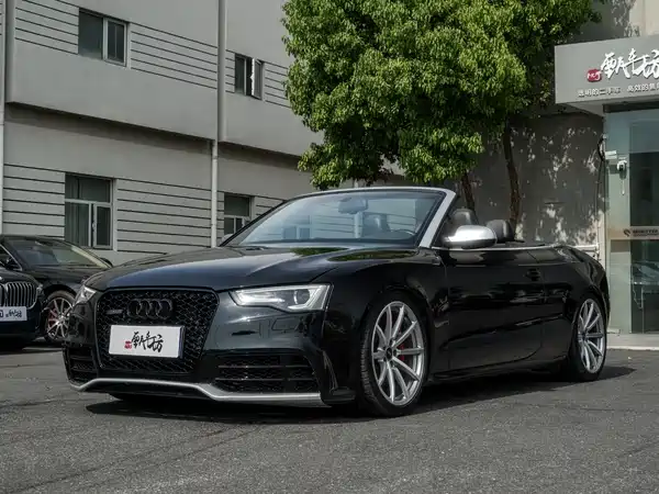 Audi S5 2010