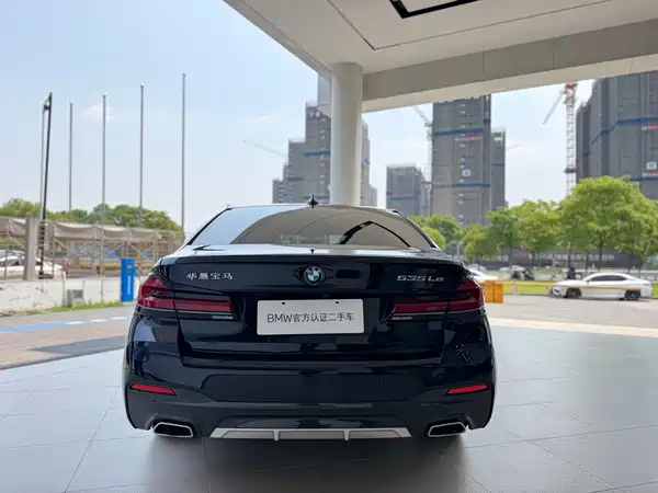BMW 5 Series New Energy 2021