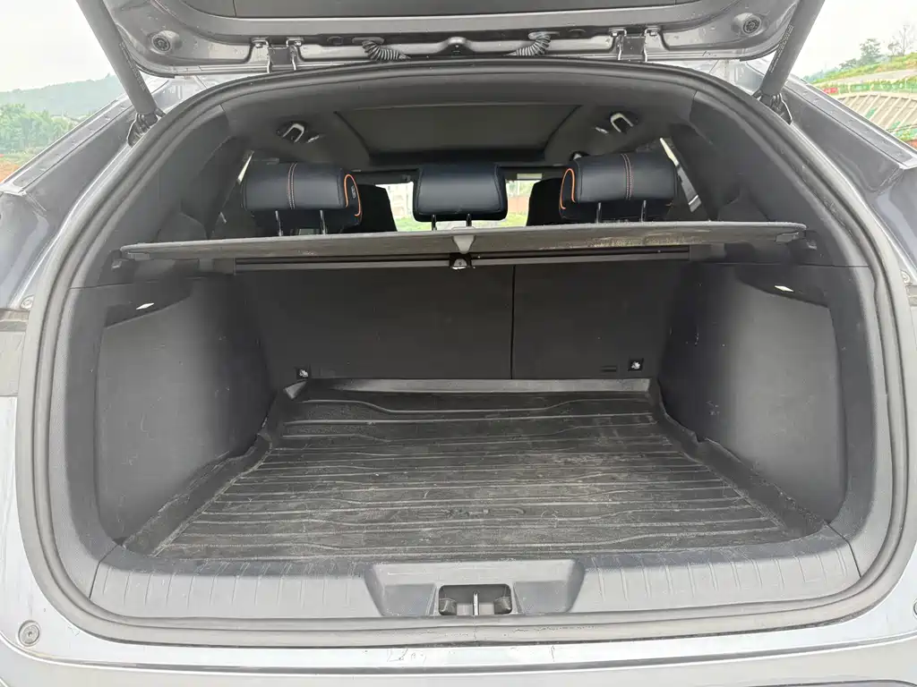 BYD PLUS New Energy 2023 — фото 16