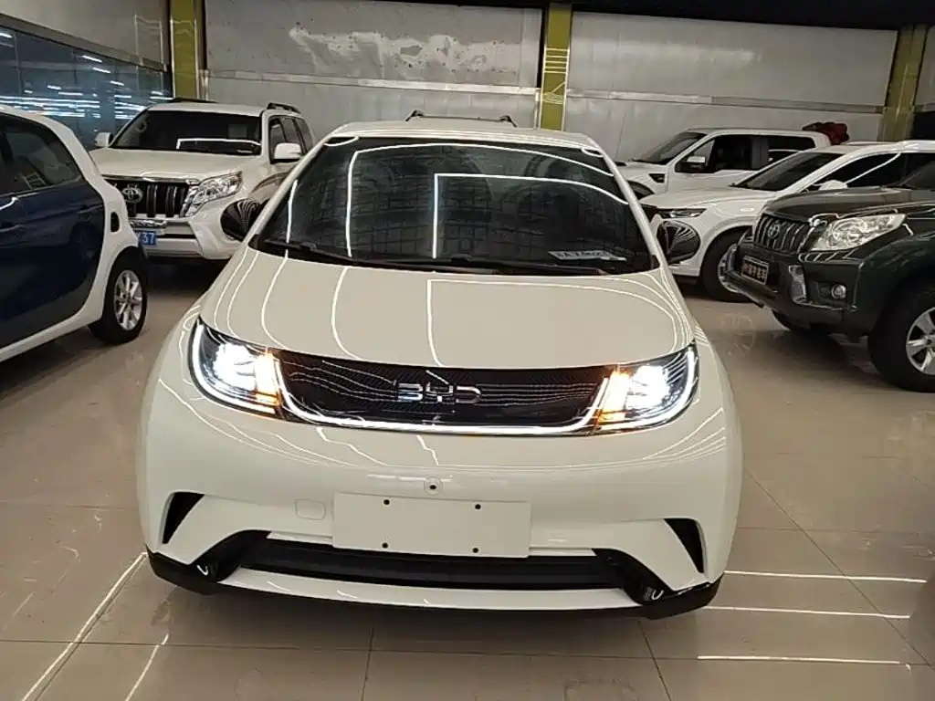 BYD Dolphin 2024