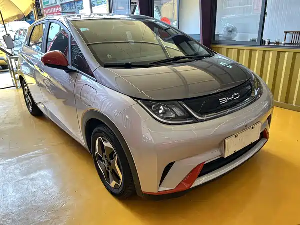 BYD Dolphin 2022