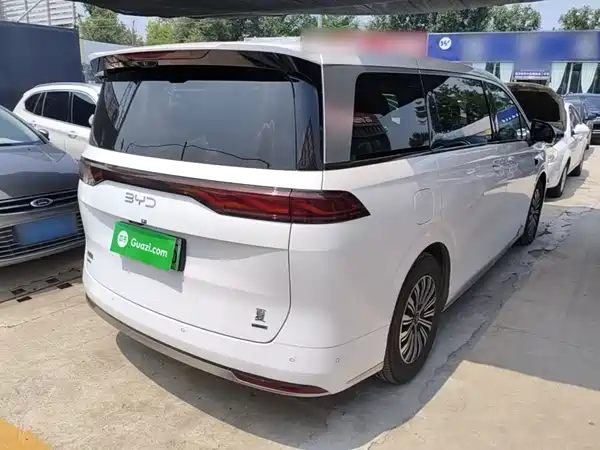 BYD Summer 2025