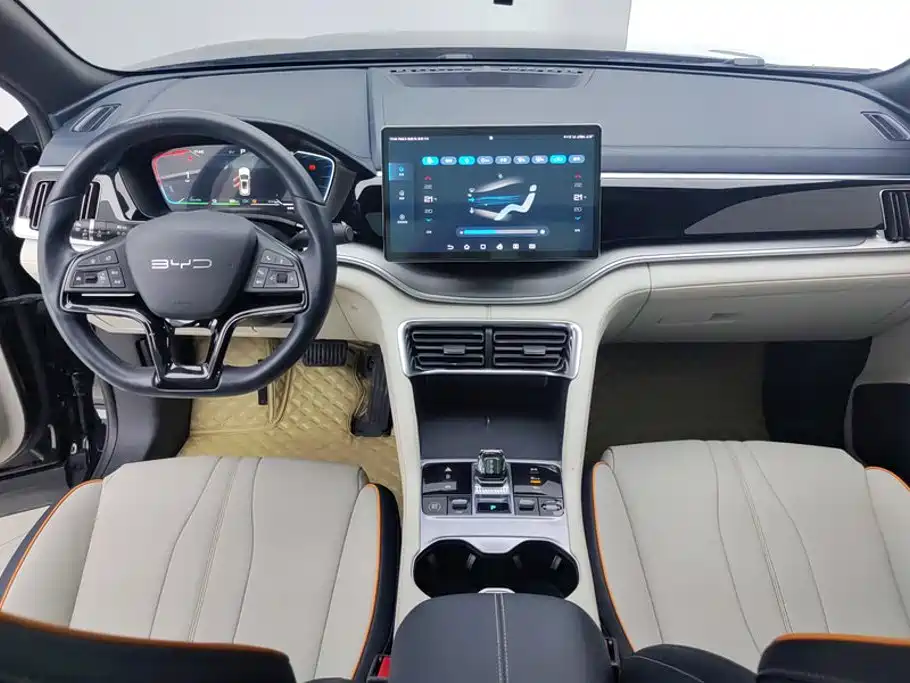 BYD Song PLUS New Energy 2023 — фото 12