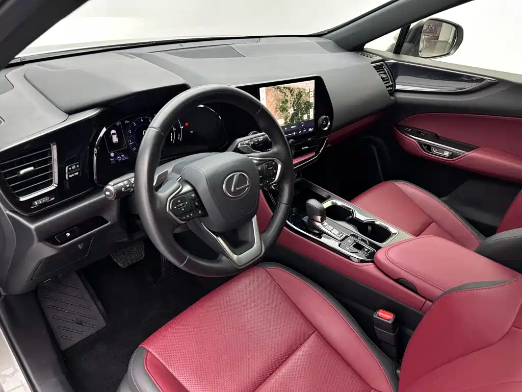 Lexus NX 2024 — фото 18