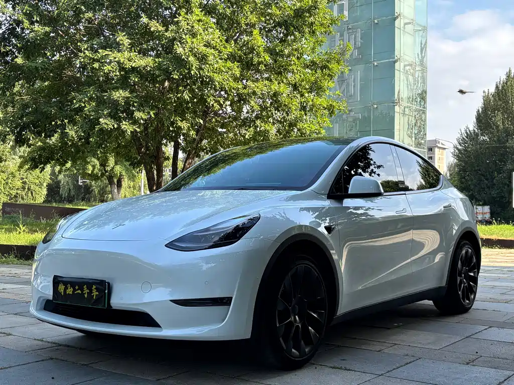 Tesla Model Y 2021 — фото 1