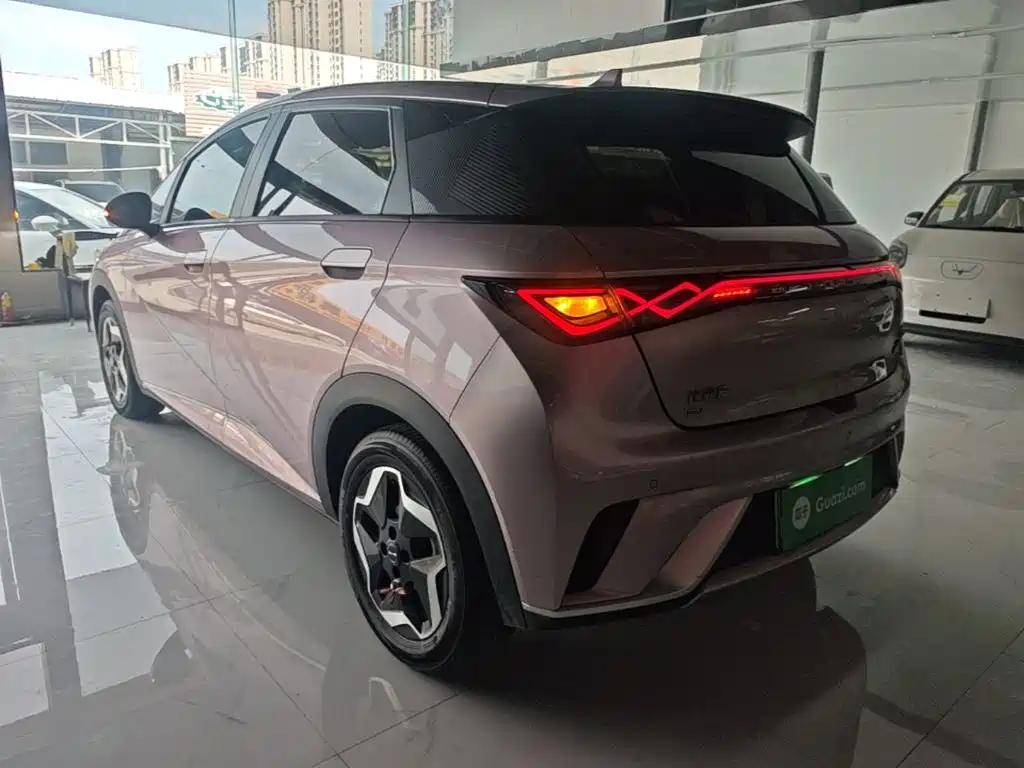 BYD Dolphin 2022