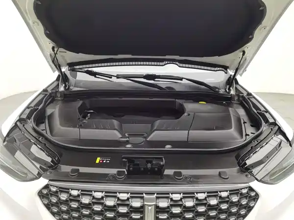Wey VV6 2020