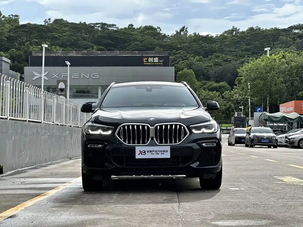 BMW X6 2021