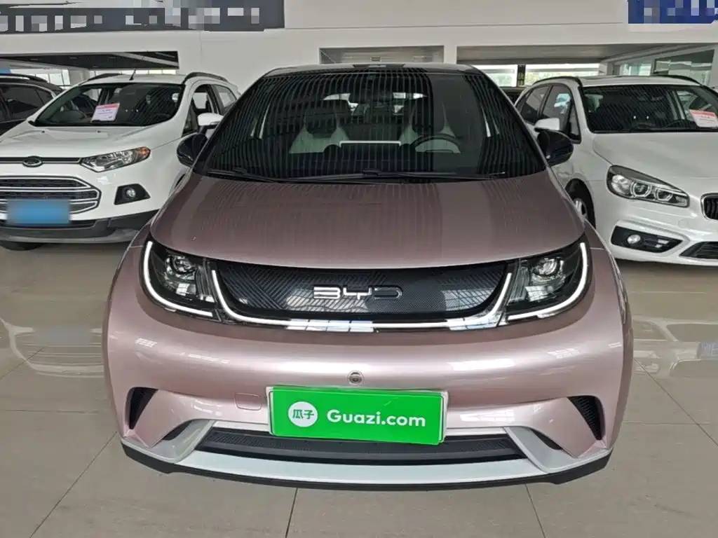 BYD Dolphin 2022