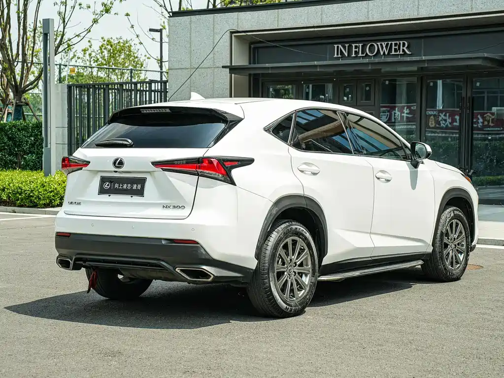 Lexus NX 2018 — фото 4