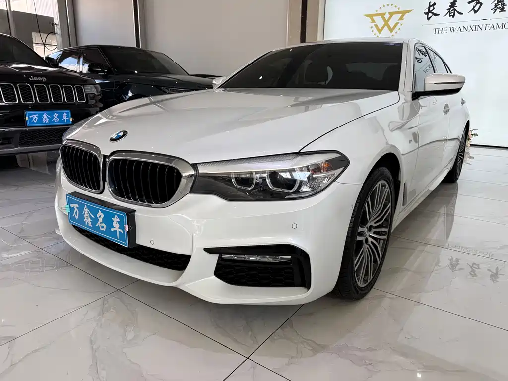 BMW 5 Series 2018 — фото 1