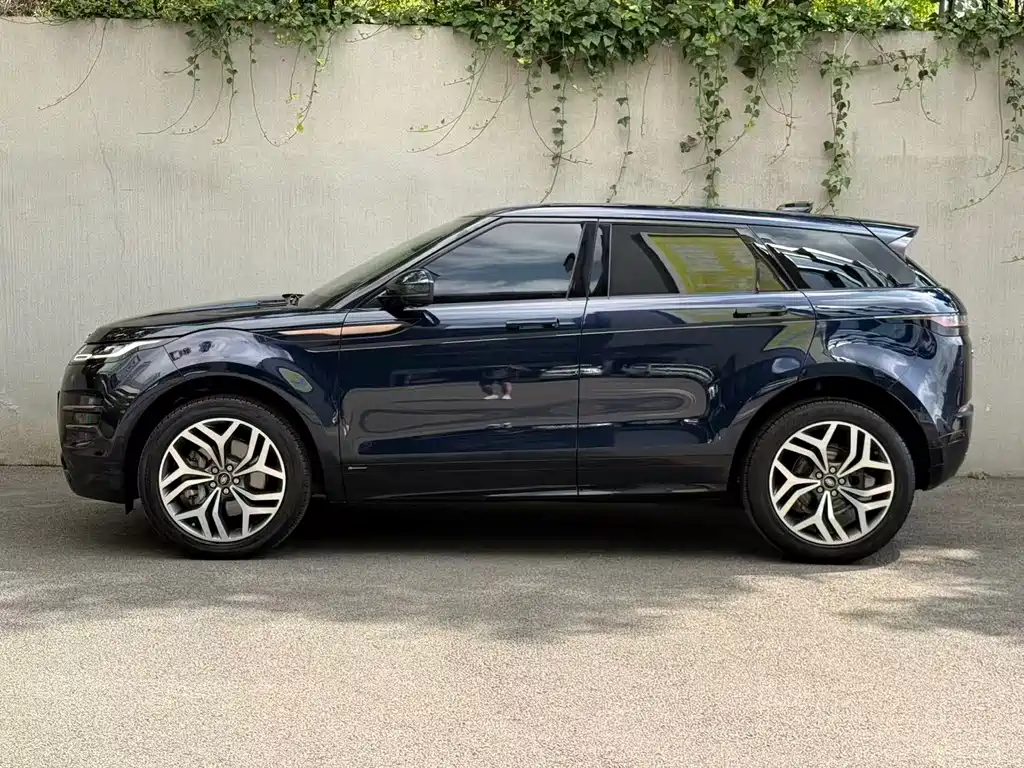 Land Rover Evoque 2020 — фото 33