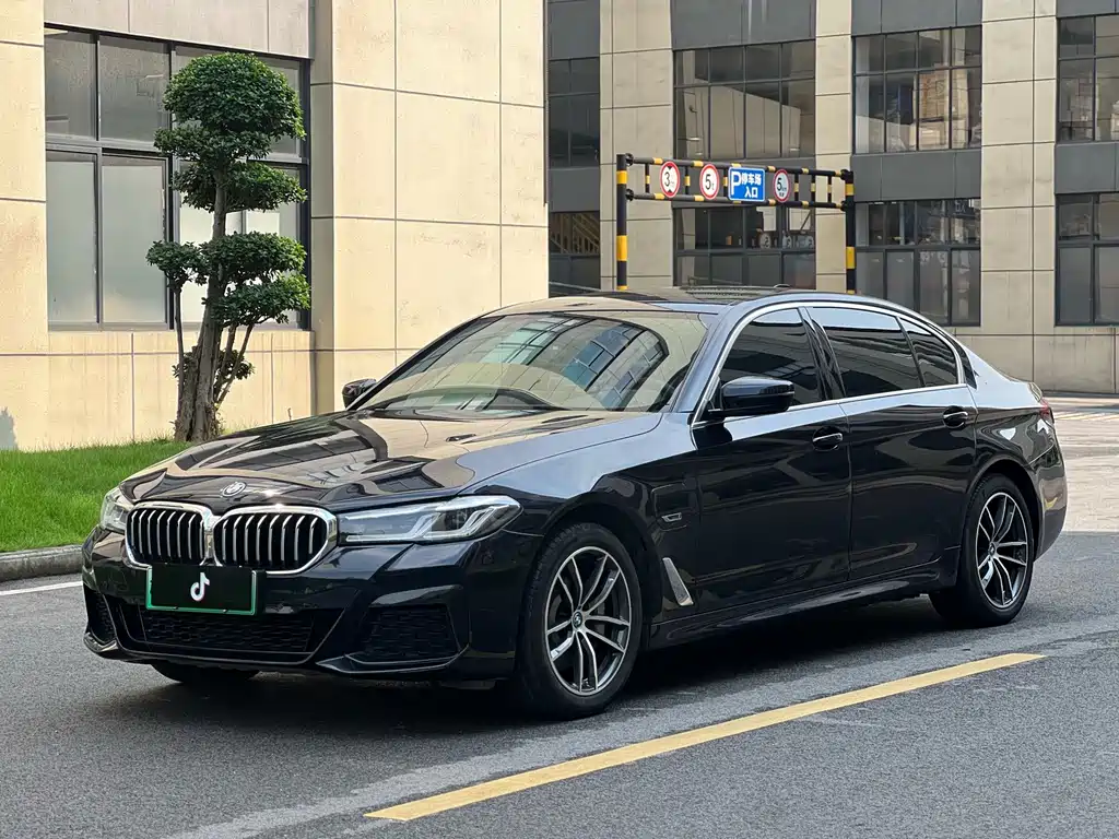 BMW 5 Series New Energy 2021