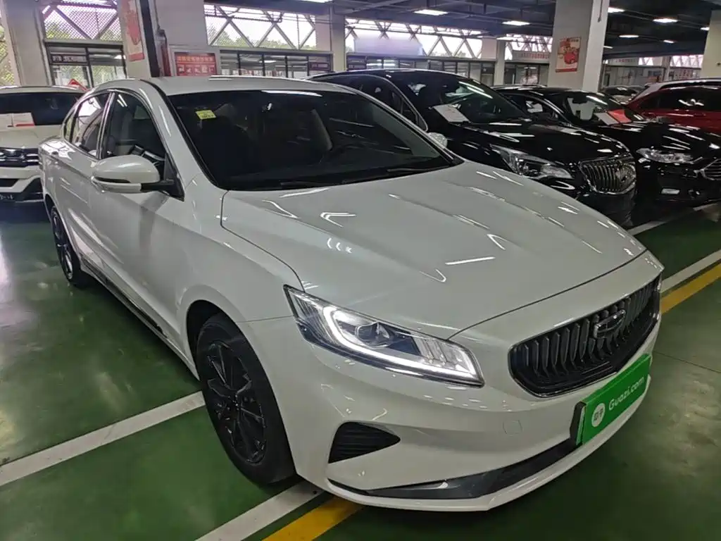 Geely Borui Hybrid 2021 — фото 4