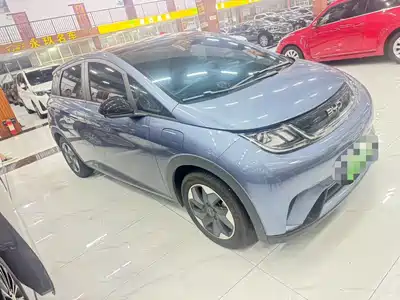 BYD Dolphin 2024
