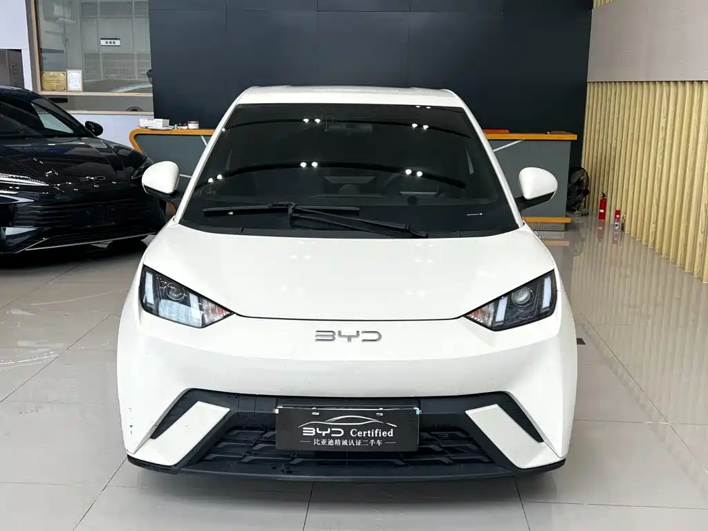 BYD Seagull 2024