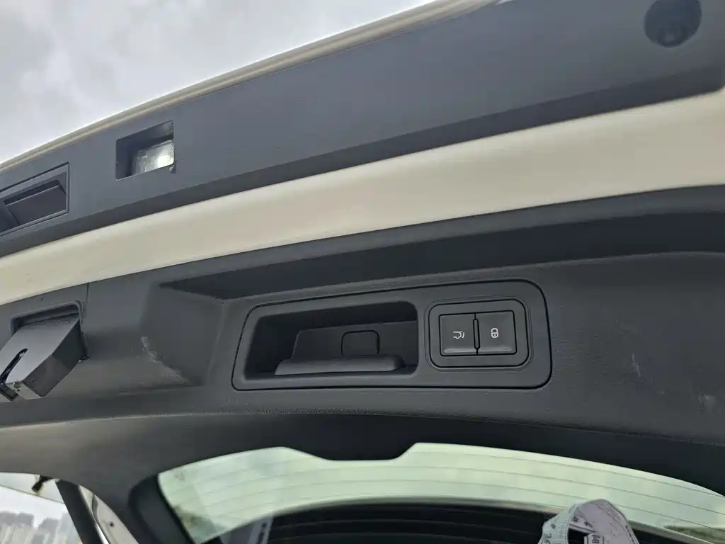 BYD PLUS New Energy 2022 — фото 10