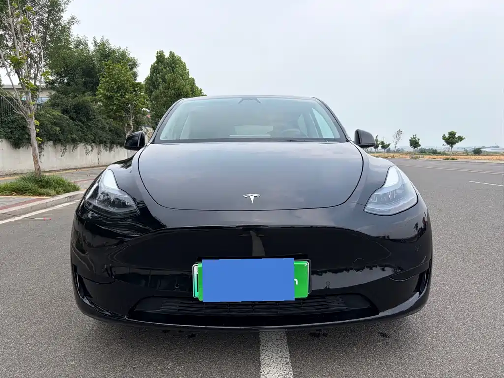 Tesla Model Y 2022 — фото 2