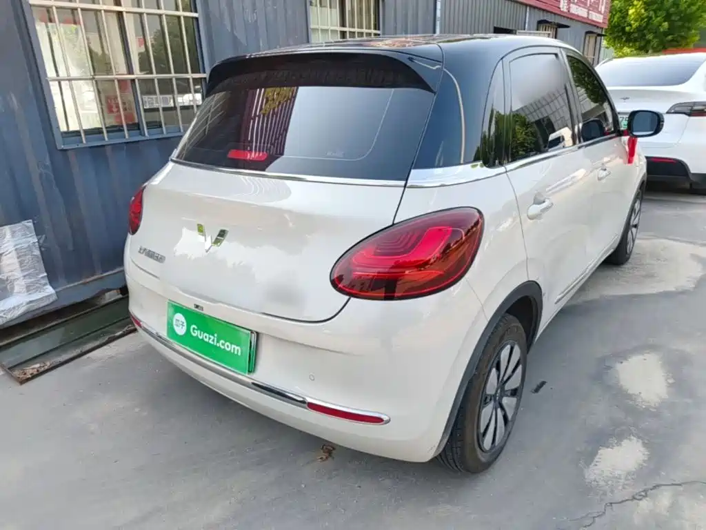 Wuling Bingo 2024