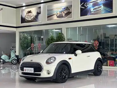 MINI MINI 2018