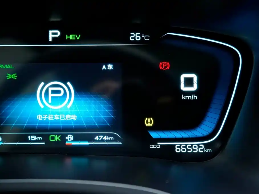 BYD PLUS New Energy 2023 — фото 19