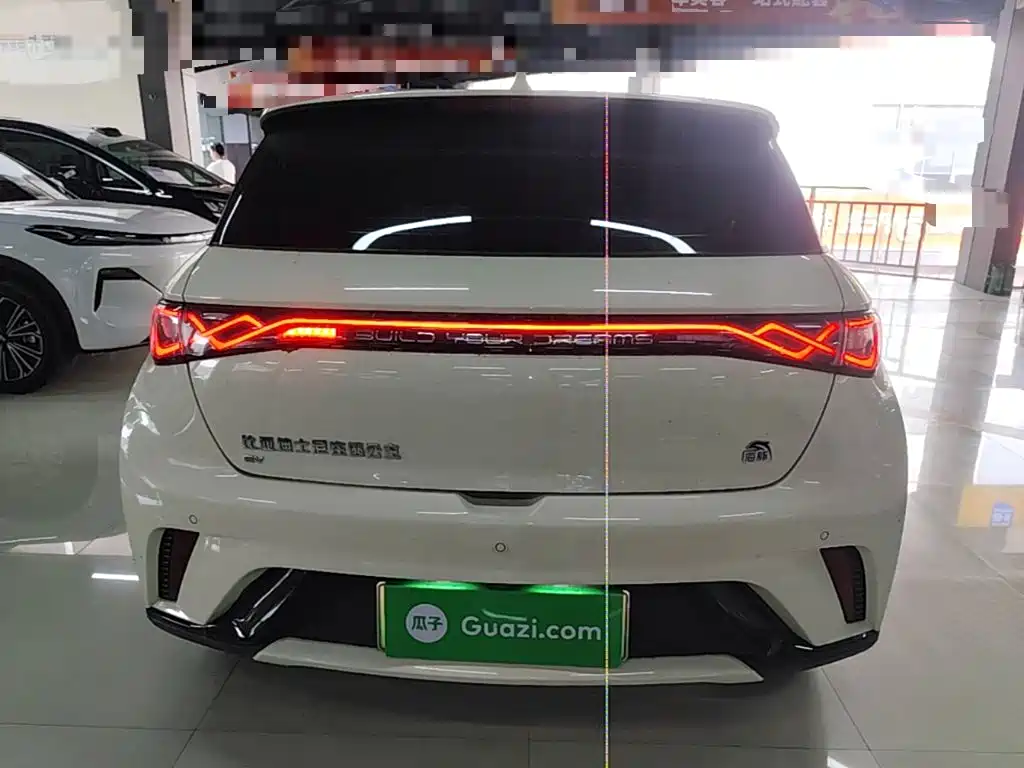 BYD Dolphin 2022