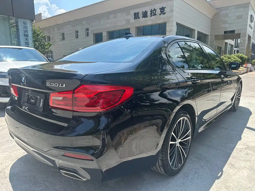 BMW 5 Series 2019 — фото 15