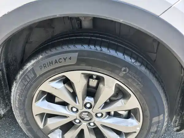 WM Motor EX5 2019