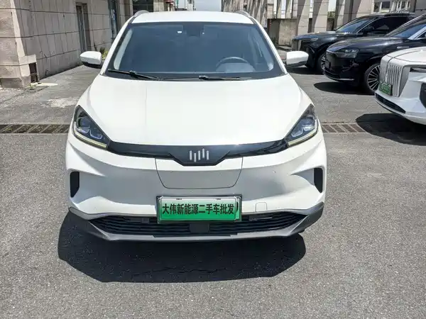 WM Motor EX5 2019