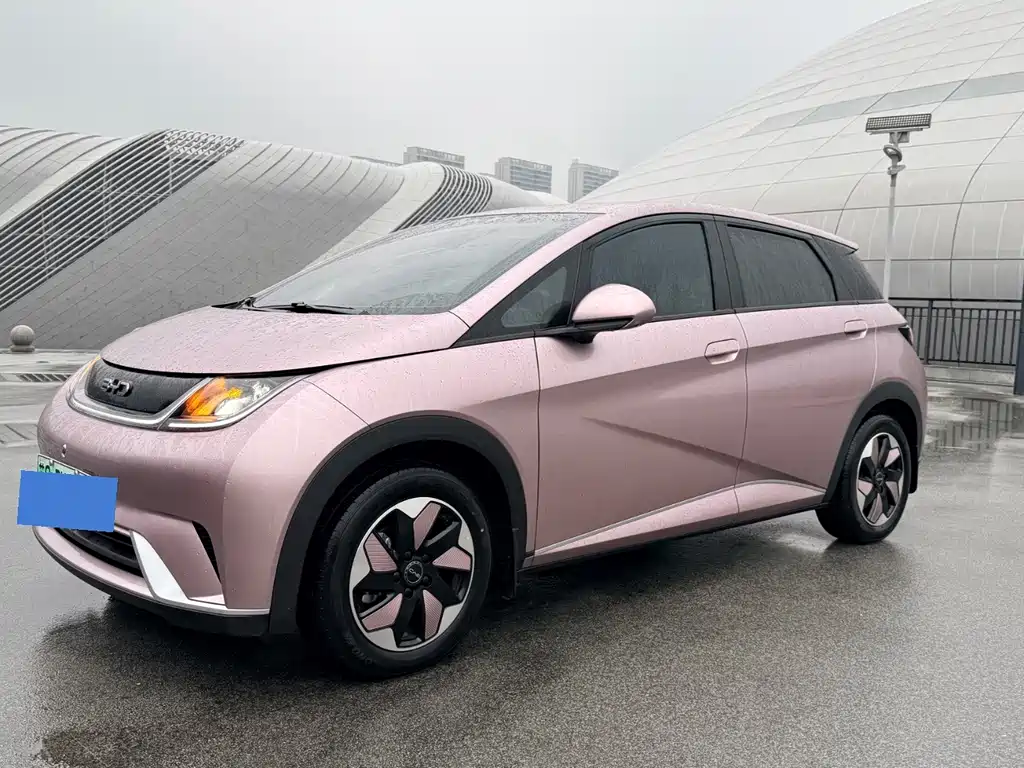 BYD Dolphin 2025