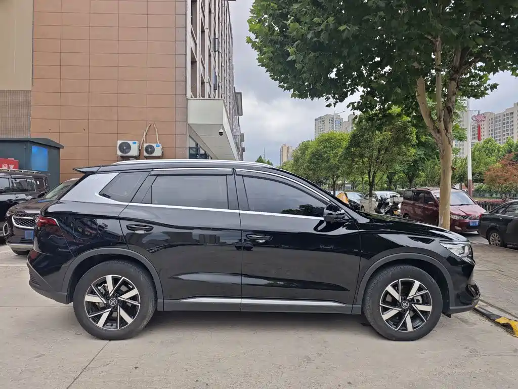 BYD Pro New Energy 2024 — фото 10