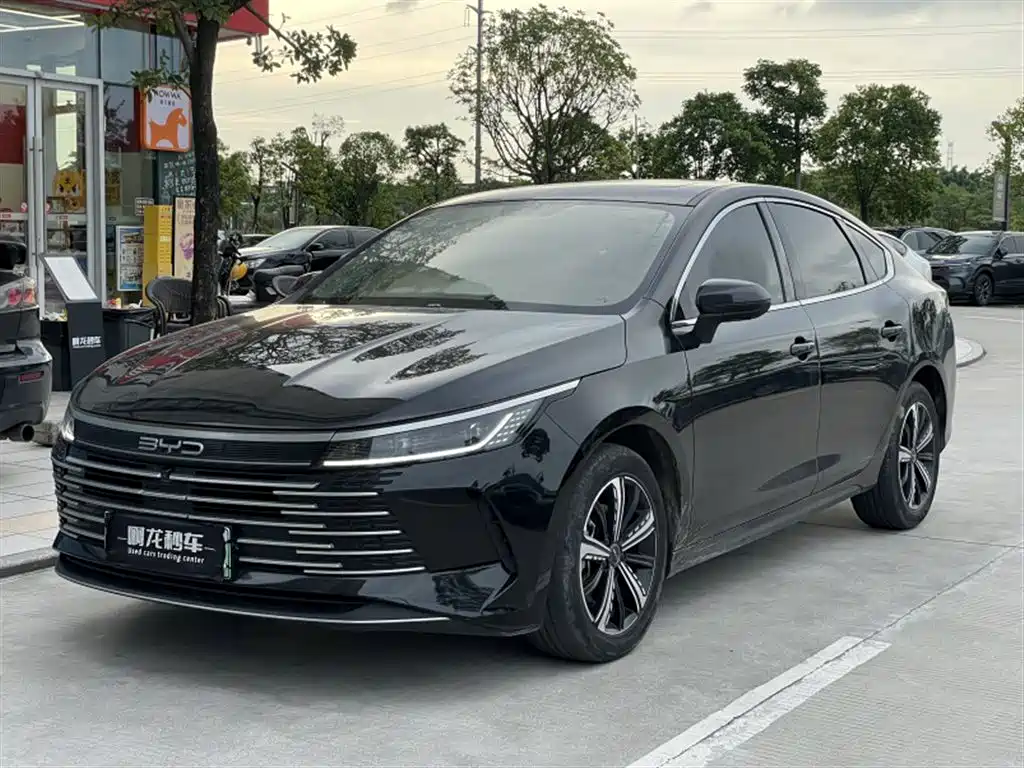 BYD Destroyer 05 2023 — фото 1