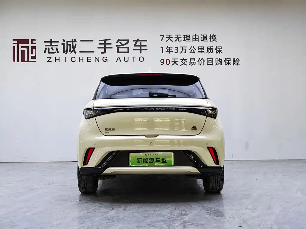 BYD Dolphin 2024
