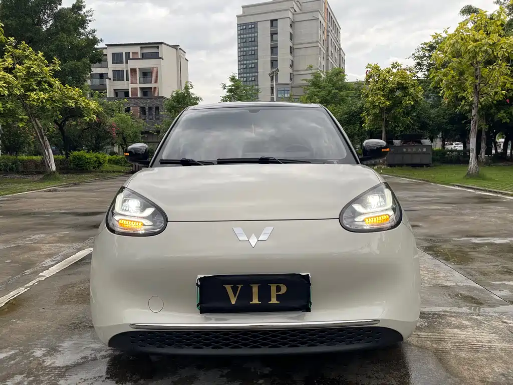 Wuling Bingo 2024