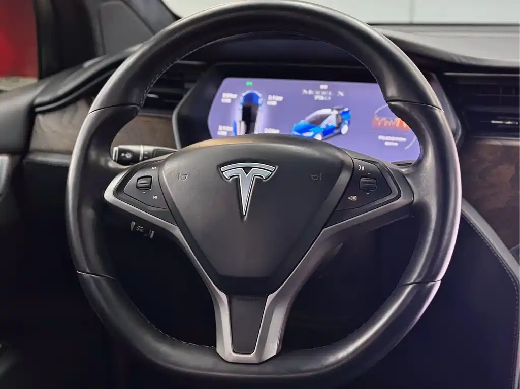 Tesla Model X 2019 — фото 16
