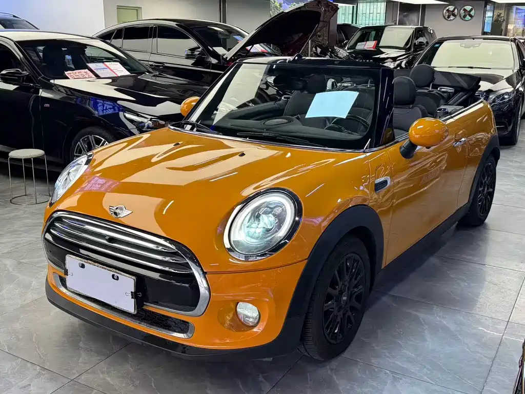 MINI MINI 2017