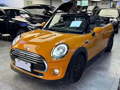 MINI MINI 2017