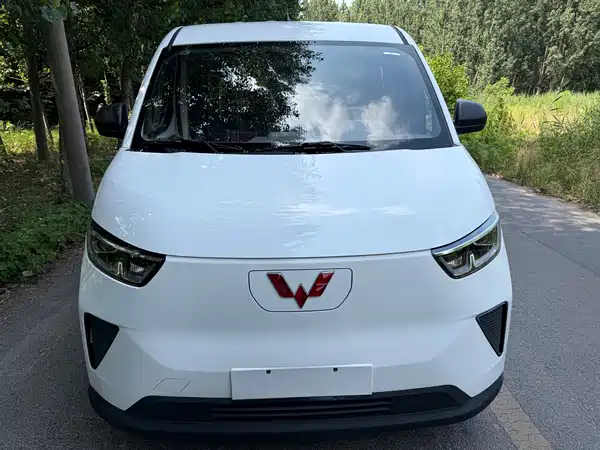 Wuling Yangguang 2024