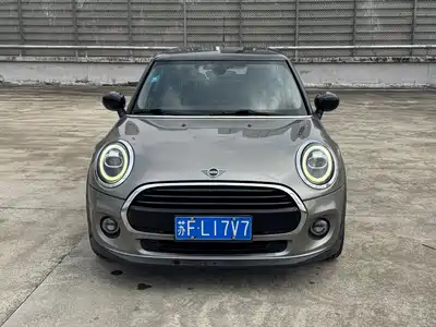 MINI MINI 2020