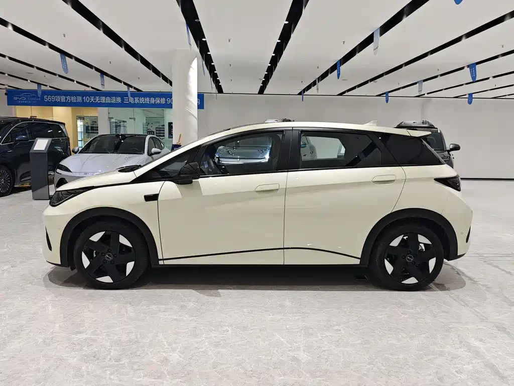 BYD Dolphin 2025