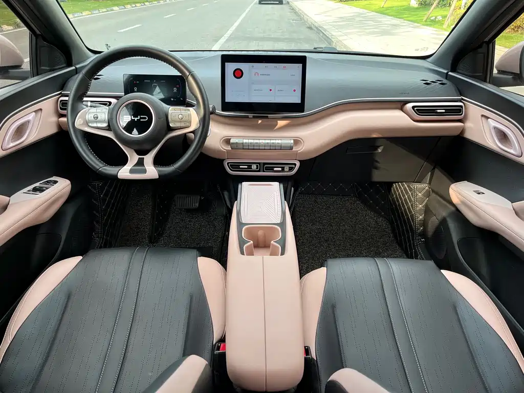 BYD Seagull 2024