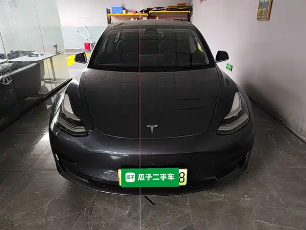 Tesla Model 3 2019