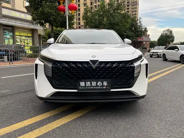 Venucia Big V 2023