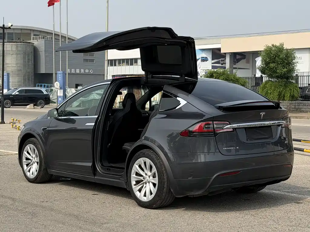 Tesla Model X 2017 — фото 10