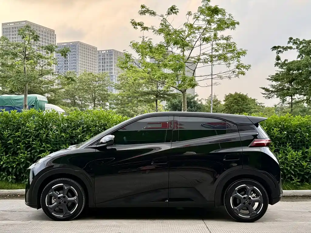 BYD Seagull 2024