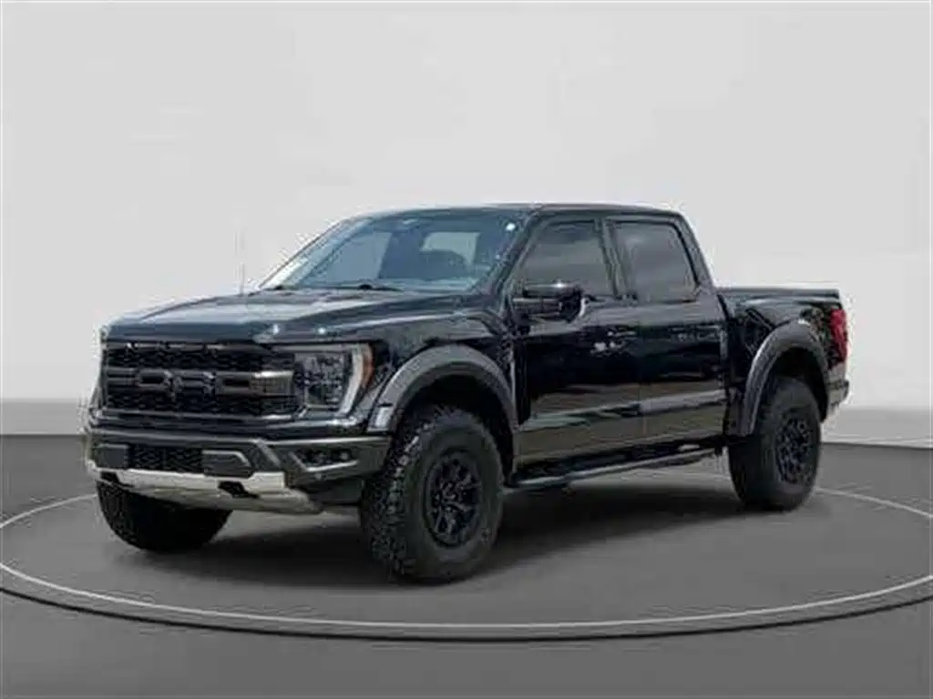 Ford F-150 Raptor 2024 — фото 1